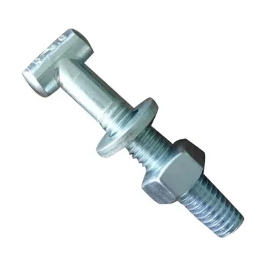 100x Scaffold T Bolts